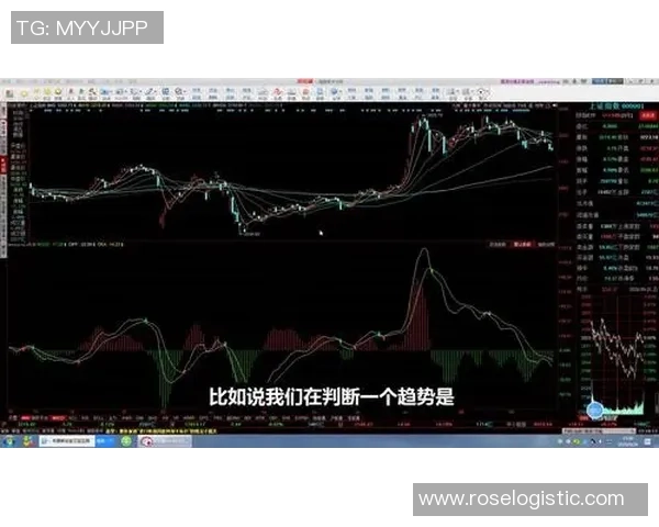 杨秀英独家分享足球心得与技巧解析助你提升球技与战术理解
