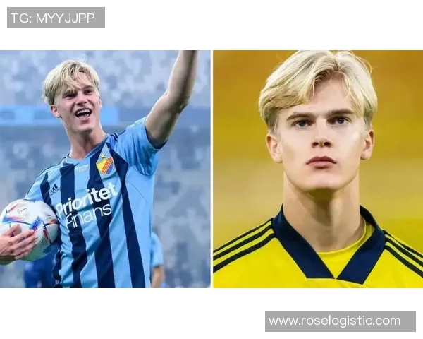 瑞典足球明星上帝视频揭秘他的职业生涯与场上精彩瞬间